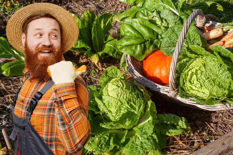 Voici les 5 légumes incontournables à cultiver dans votre potager cet