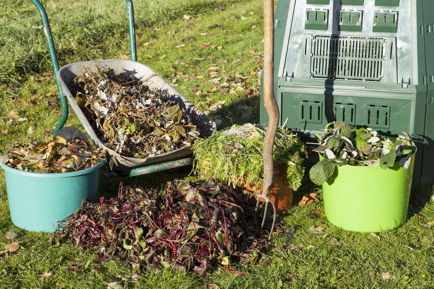 créer un jardin durable et écoresponsable